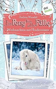 Ein Pony für alle Fälle - Elfter Roman: Weihnachten mit Hindernissen