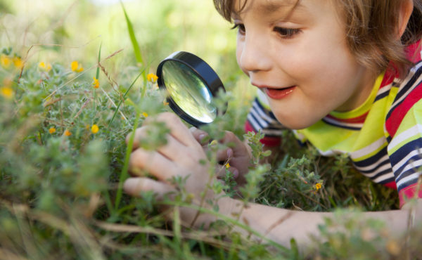 Contoh Soal PAS Teks Observasi | Bahasa Indonesia SMP 2019 - ilmubindo.com