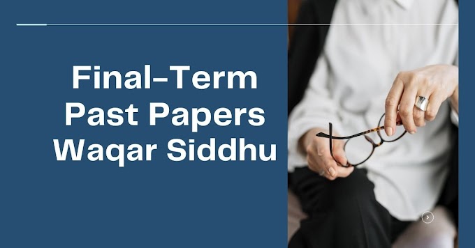 Final Term Past Papers by Waqar Siddhu in PDF Form by VU NET