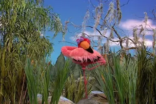 Dorothy imagines Elmo as a sleeping flamingo. Sesame Street Elmo's World Sleep Tickle Me Land