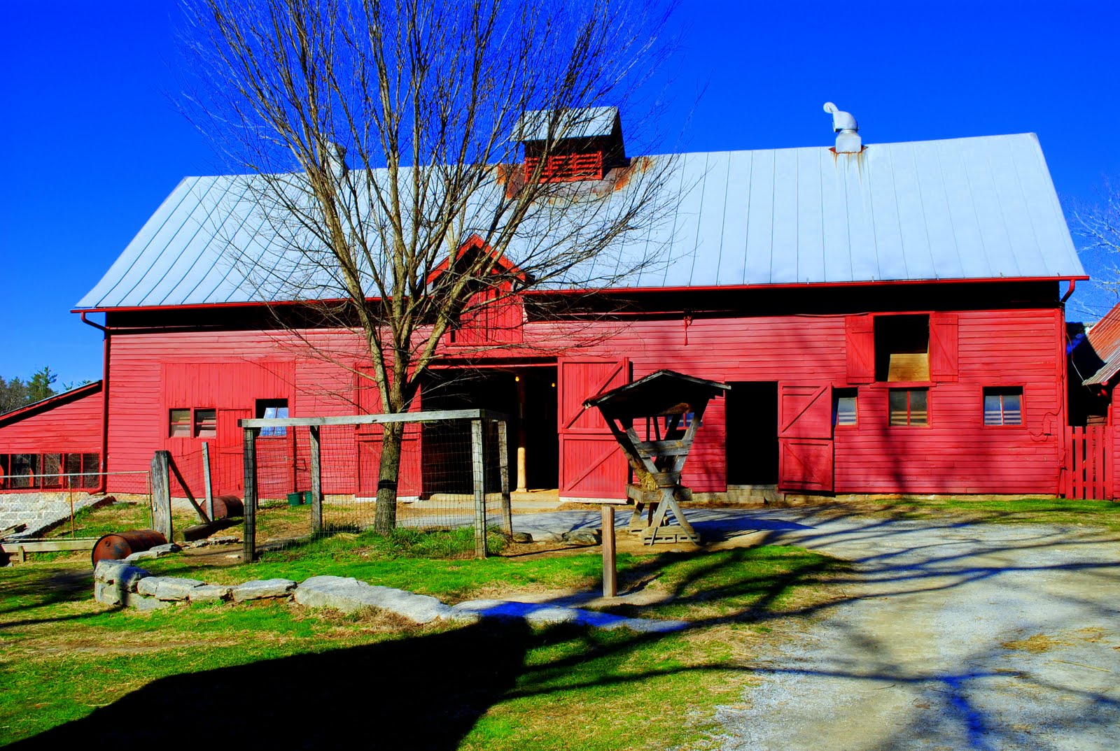 sunny morning farm My visit to Connemara Farm