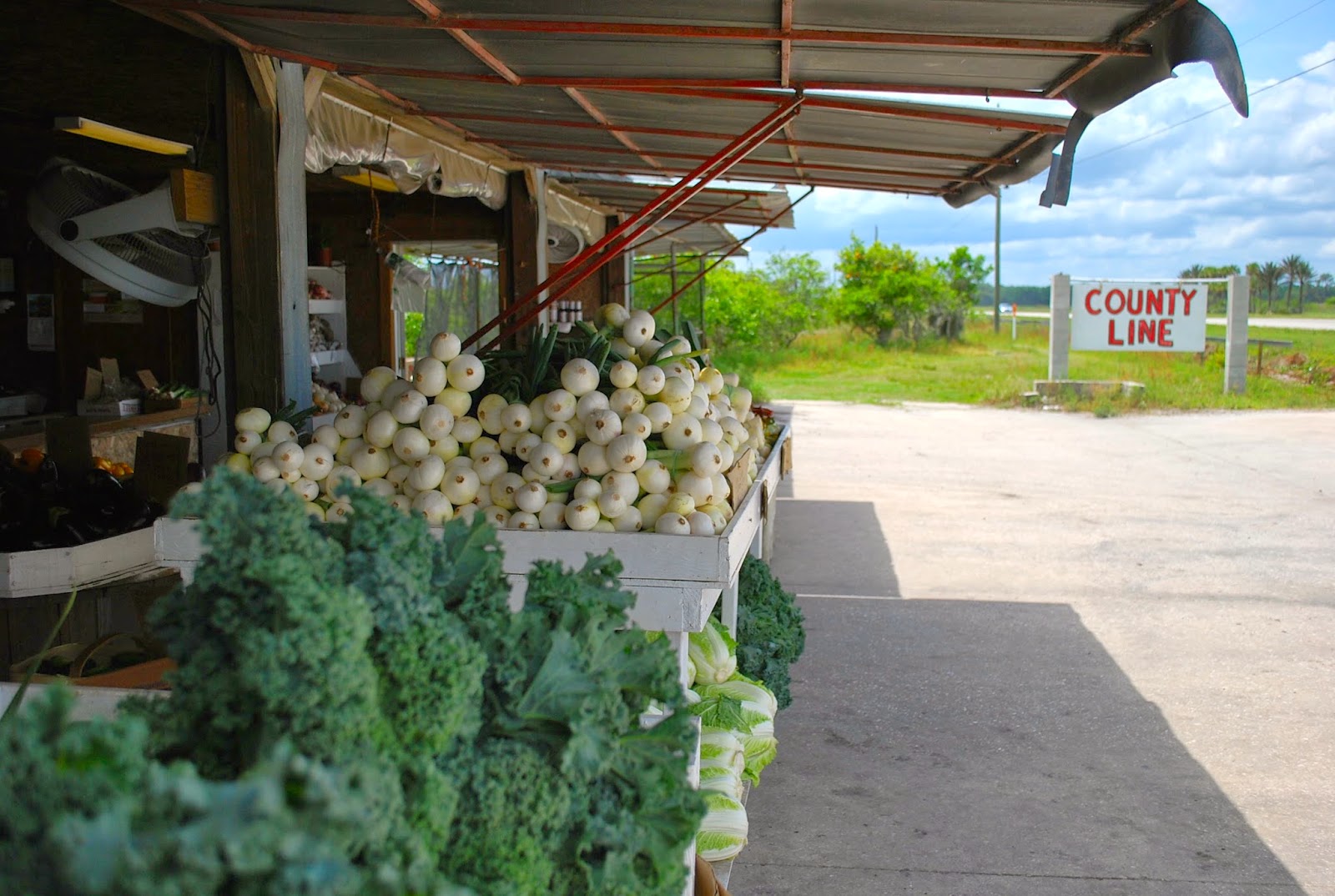 Helen A. Lockey County Line Produce, Hastings, Fla. Fresh Kale & More