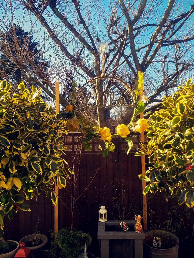 Hello garden Hello garden