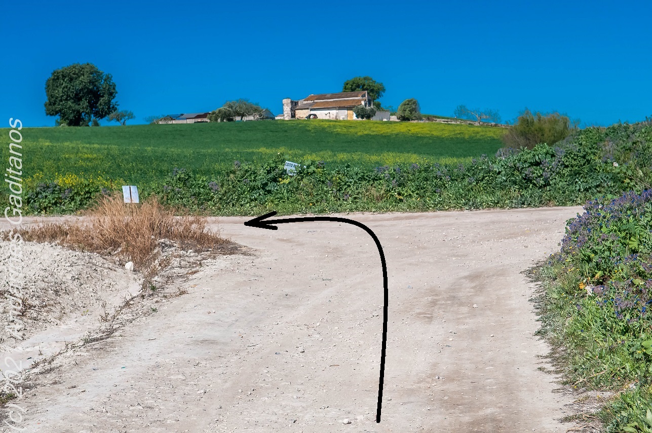 . CIRCULAR AL COMPLEJO ENDORRÉICO DEL