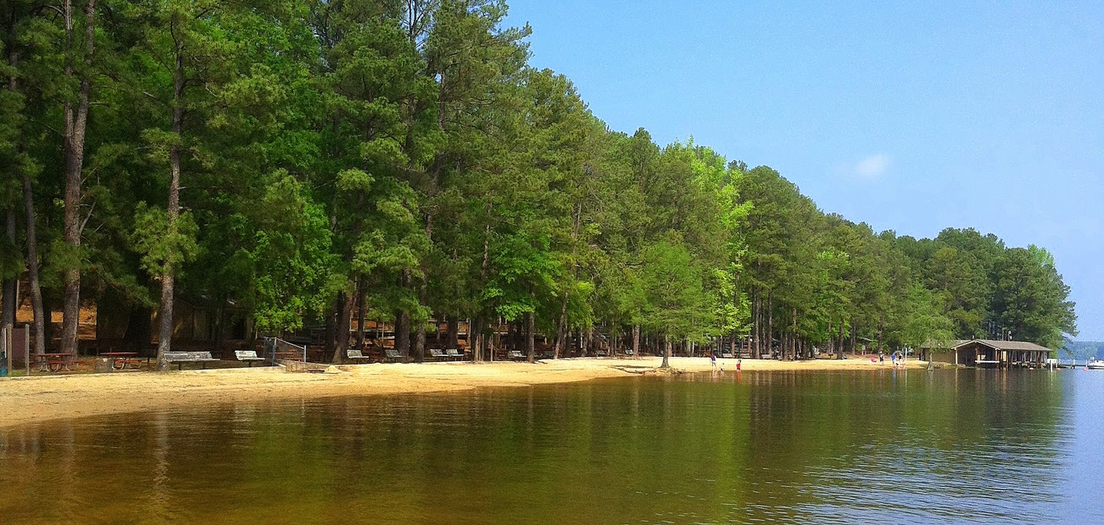The Gypsy Boho Freedom Express LAKE BISTINEAU STATE PARK DOYLINE, LA