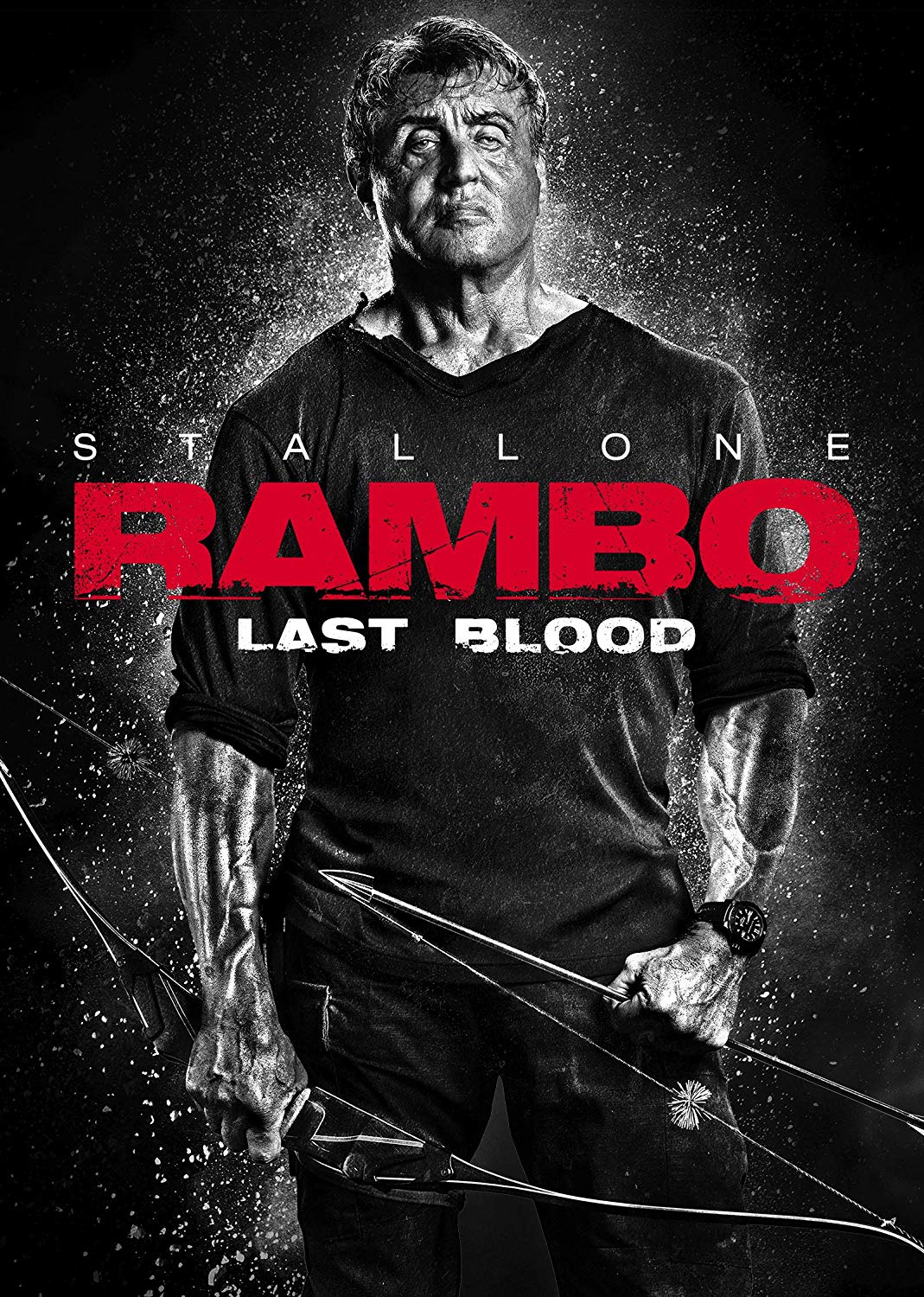 Rambo: Last Blood [2019] [DVD R1] [NTSC] [Latino]