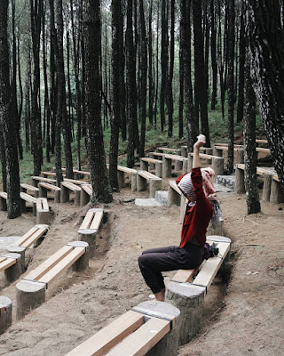 Hutan Pinus Kalipasang Getasan, Spot Foto Instagrammable Yang Wajib Kamu Kunjungi