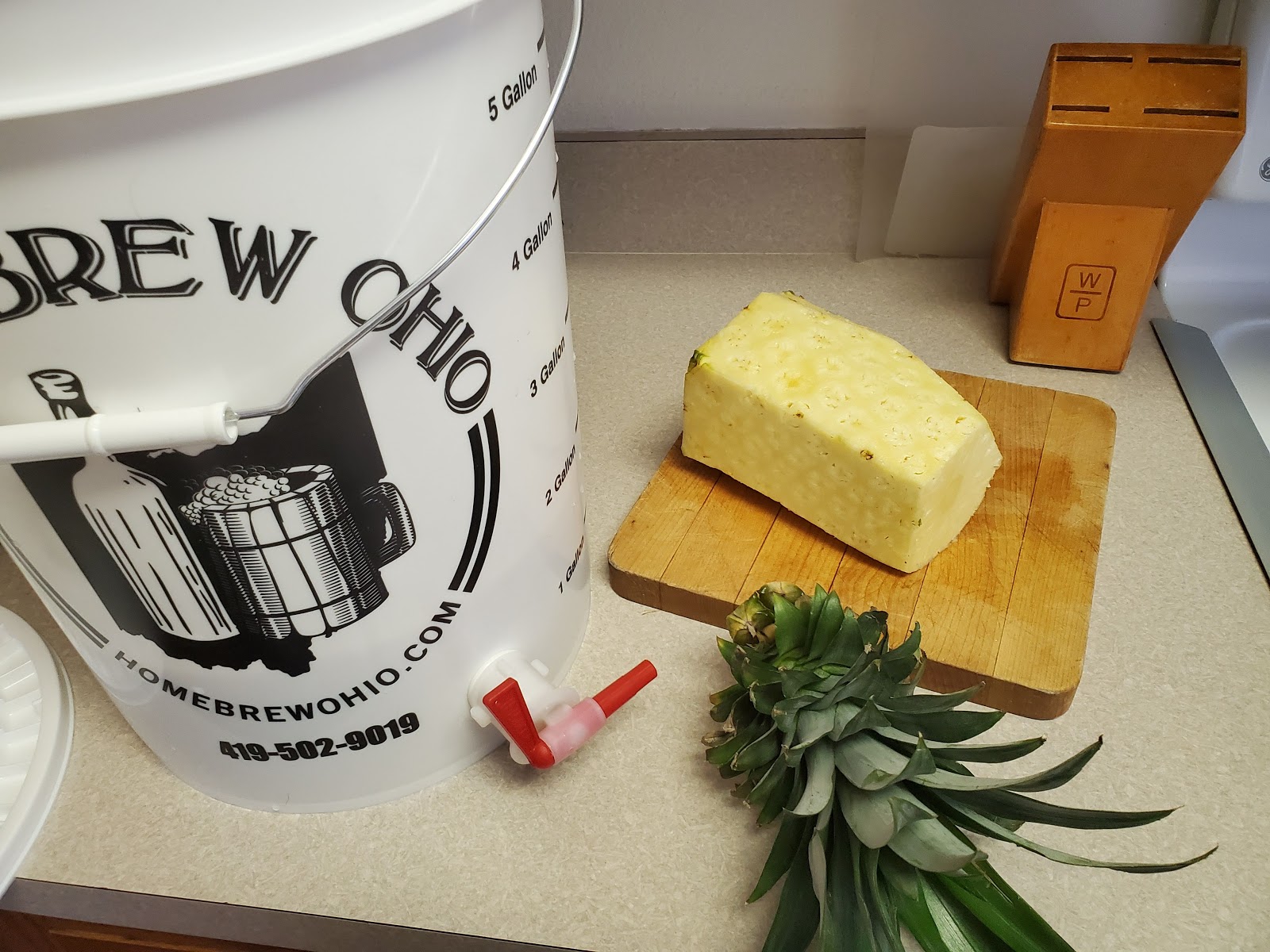 How to make Pineapple Beer at home aka.. Tepache