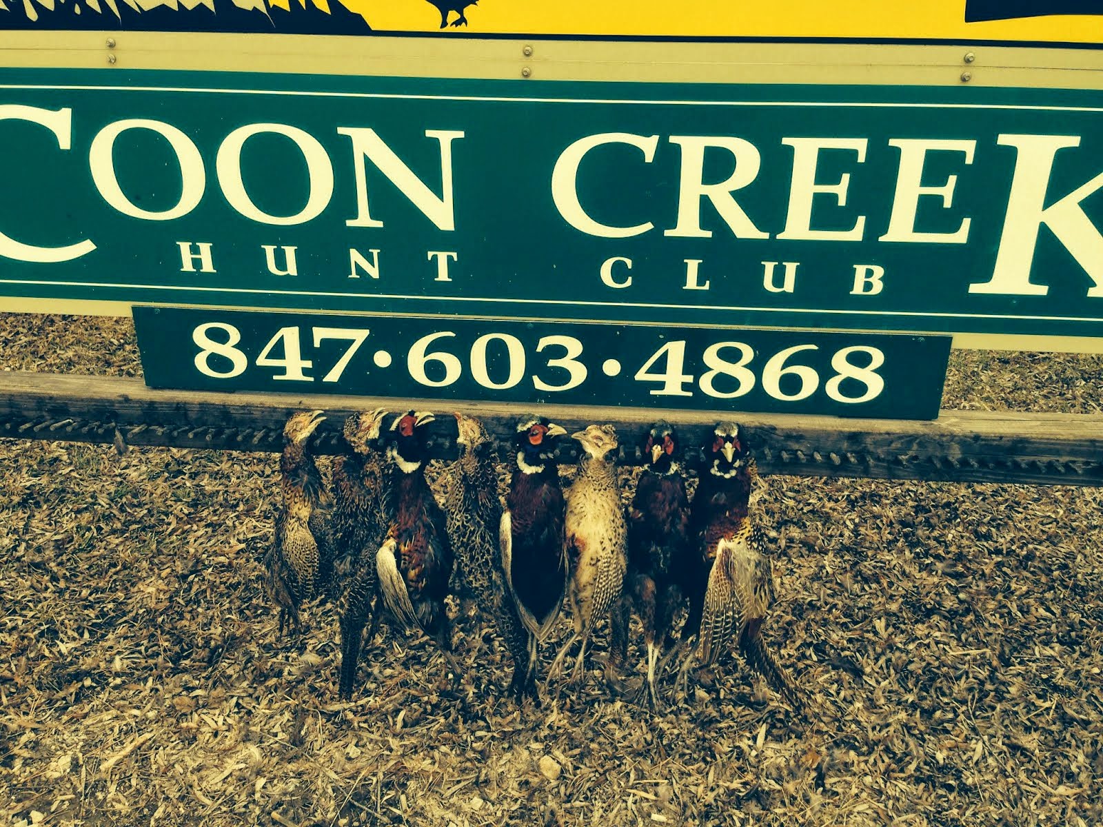 Guided hunt 3/15/15