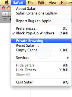private browsing in safari browser