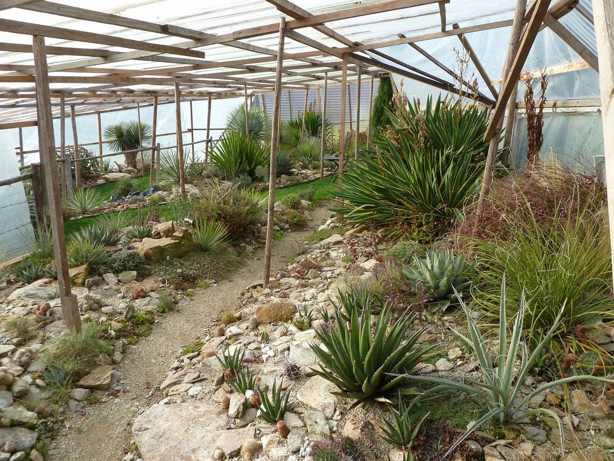 Der Wüstengarten: Ein besonderer Garten in der Steieremark