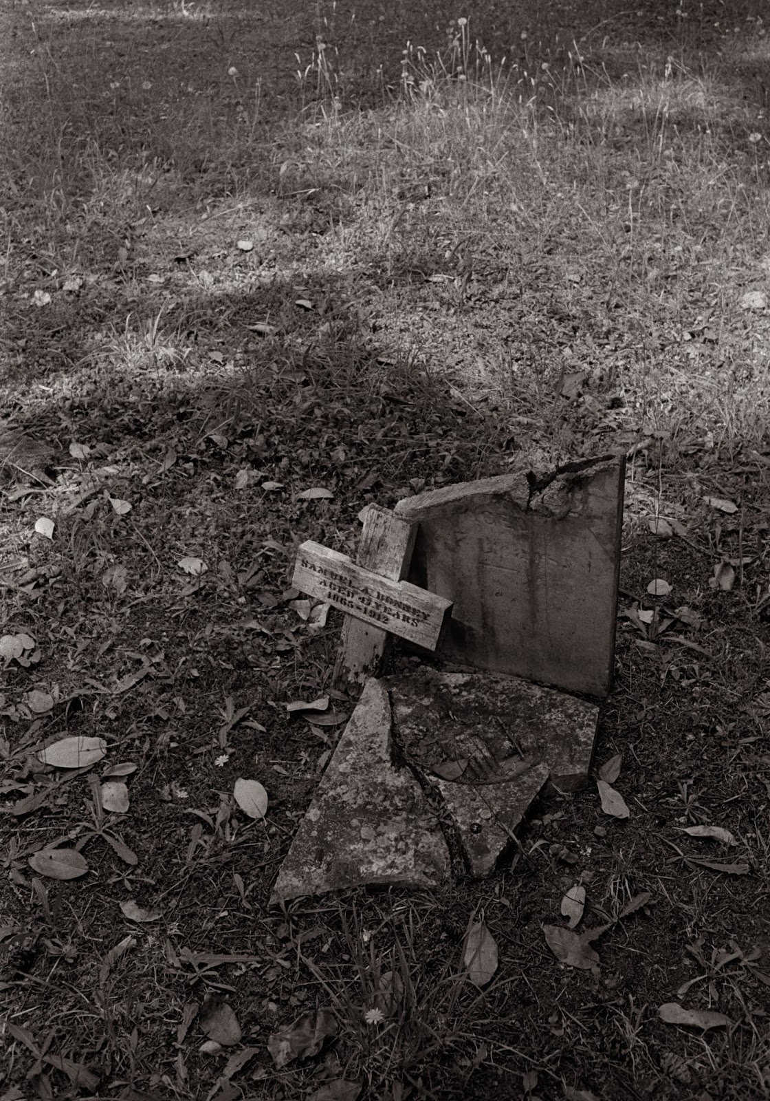 Pacific Northwest Gravelly Lake Pierce County