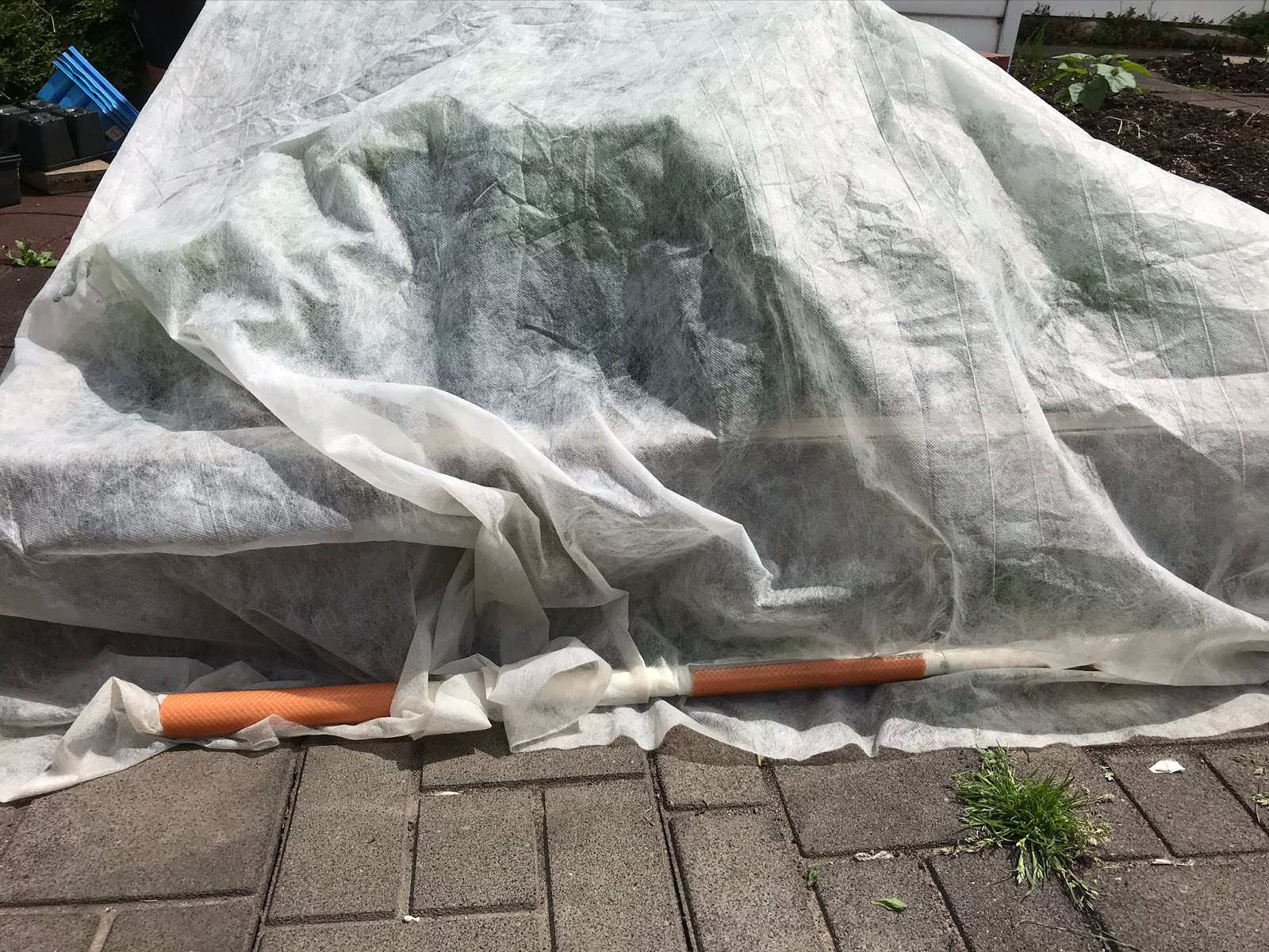 Backyard Garden Floating row covers protect kale from bugs all season