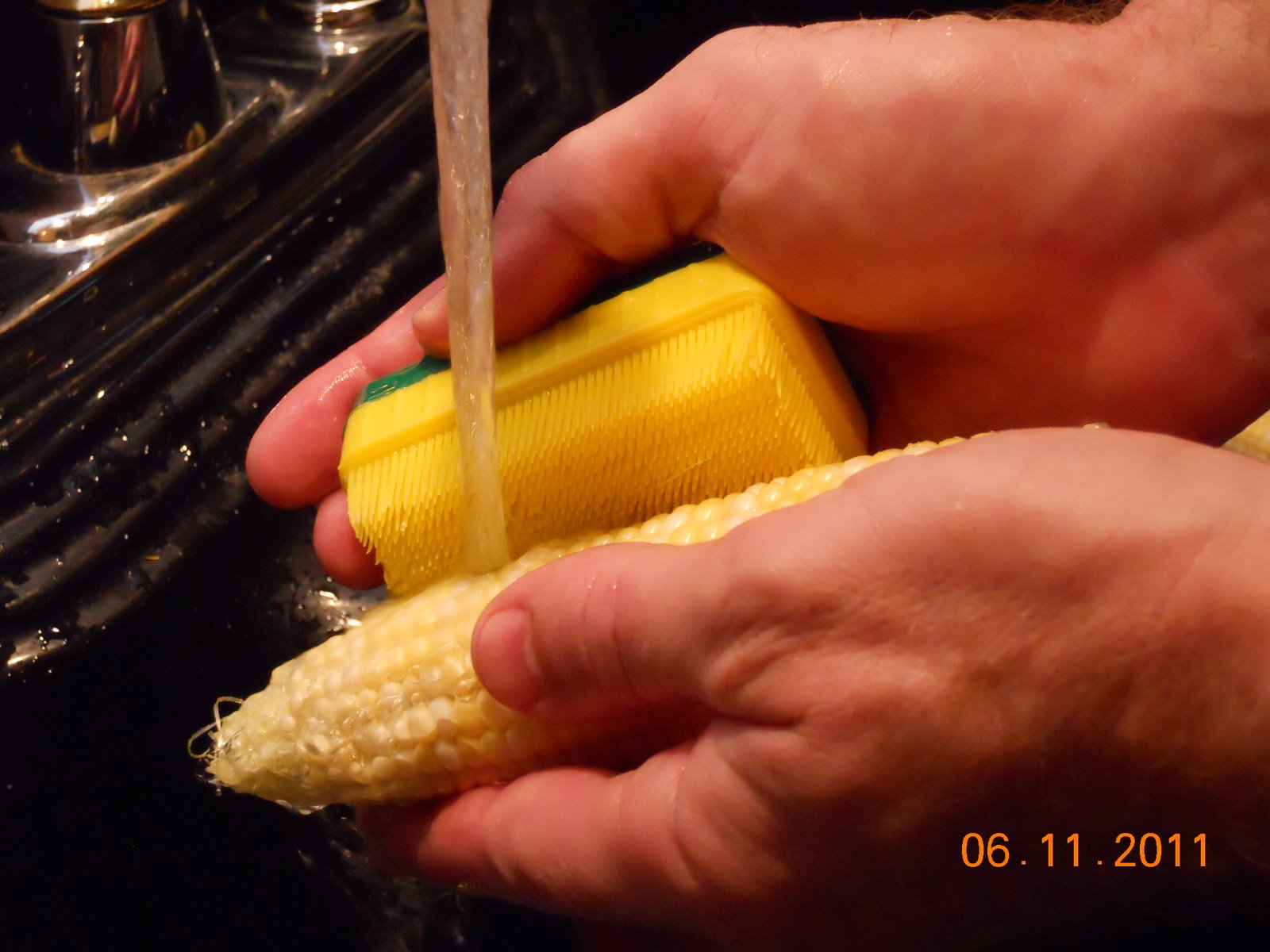 Home Garden Corn Harvest Peaches and Cream