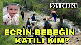 Resim