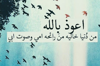 3969_sama-love