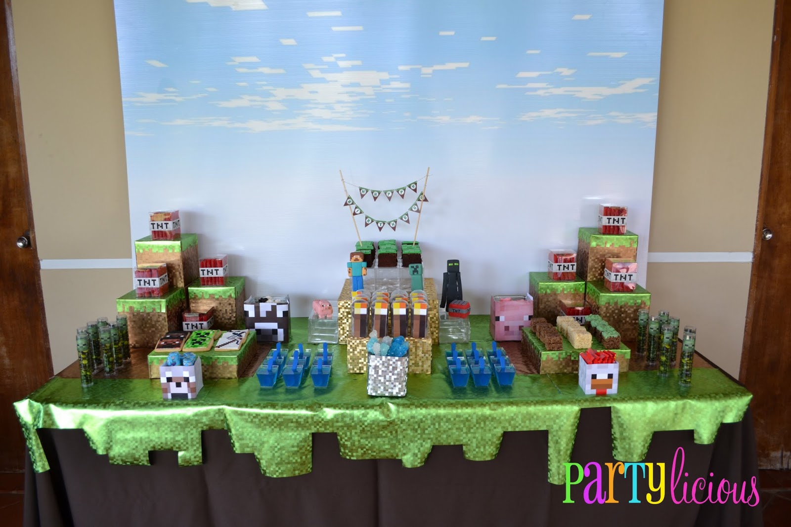 Partylicious Events PR Minecraft  Birthday Party 