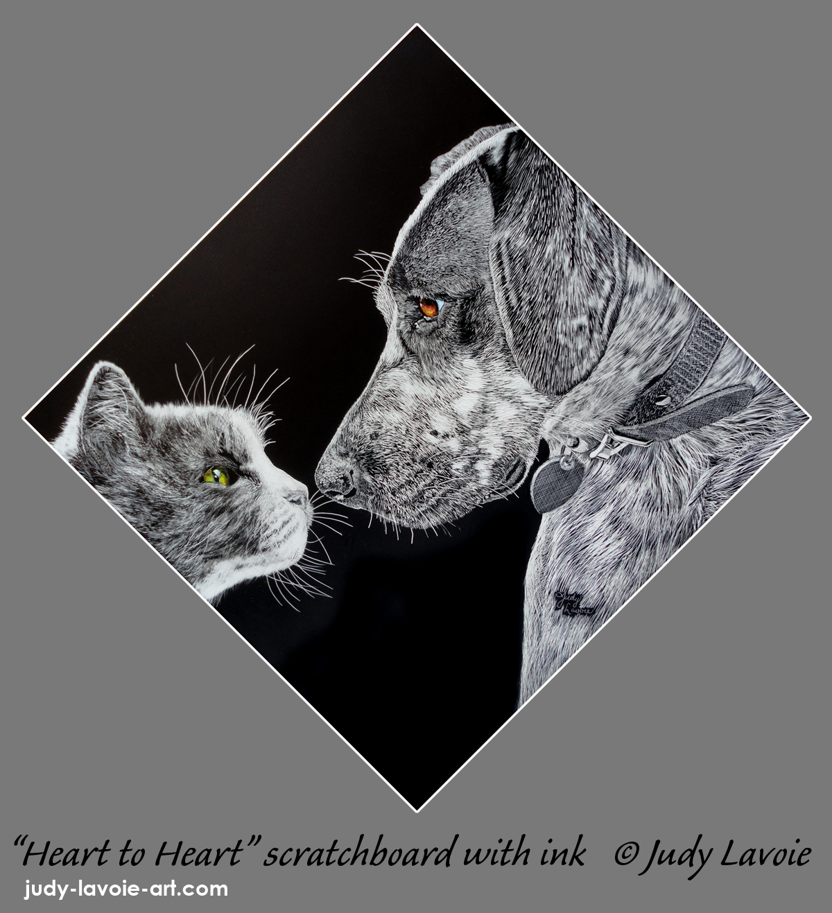 What Is Scratchboard? – Judy Lavoie Art