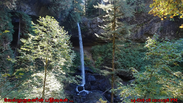 North Falls in Silver Falls State Park