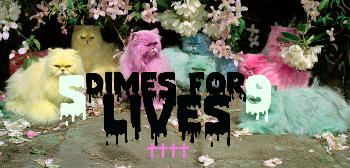 Five Dimes For Nine Lives
