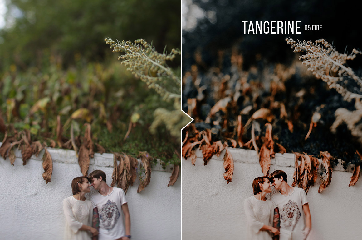 Tangerine Portrait Presets for Lightroom & ACR (LR, XMP)