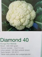 bunga kol, kembang kol diamond 40, jual benih kembang kol, toko pertanian, online shop, lmga agro