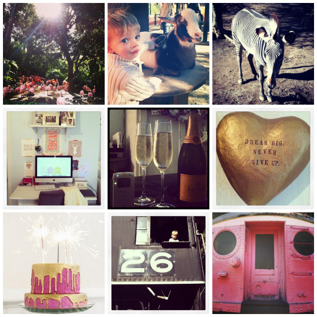instagrams of the week from oh_lovely_day