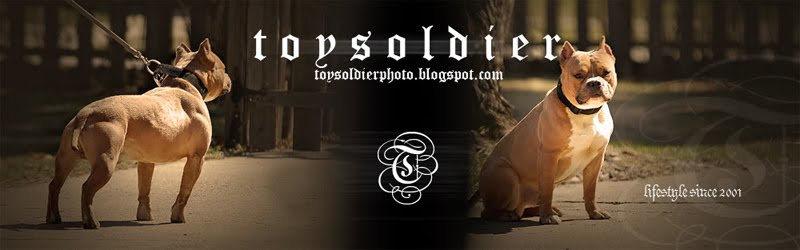 TOYSOLDiER BULLY PHOTOS