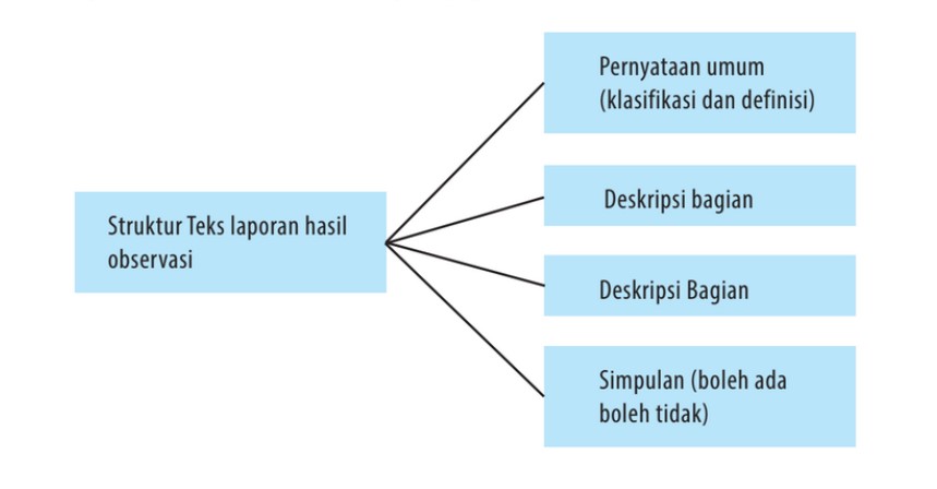 Teks Laporan Hasil Observasi Pengertian, Tujuan, Fungsi