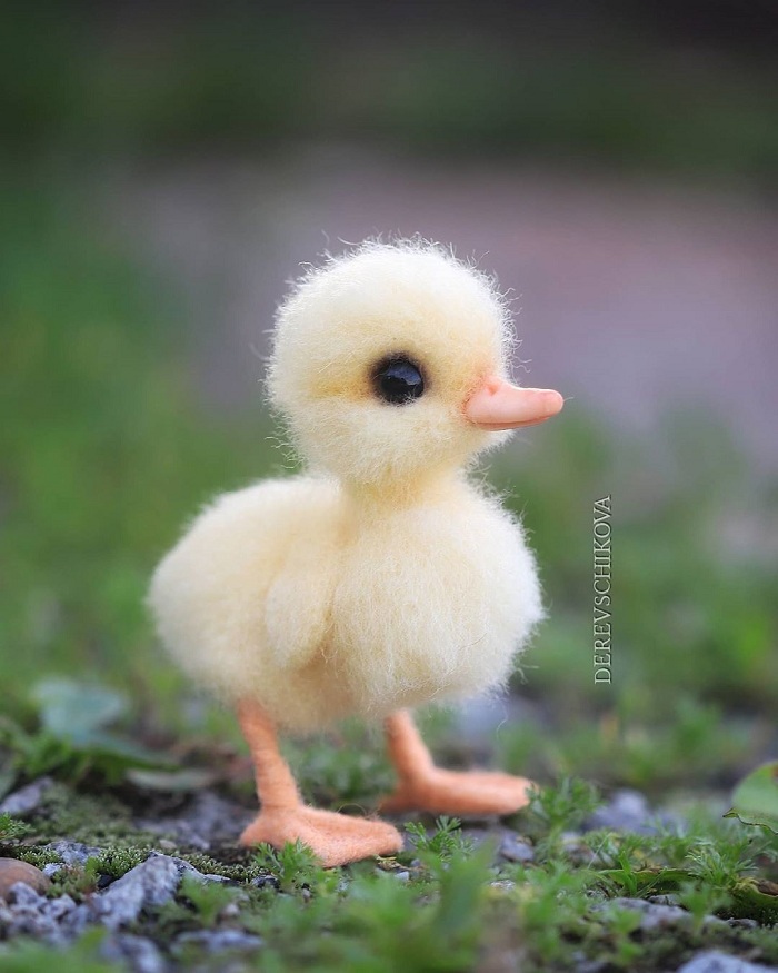 Koleksi wallpaper haiwan comel - haiwan comel