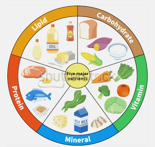 Nutrients Nutrition nutrients-nutrition