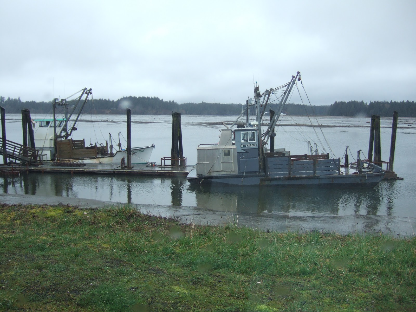 Reading the Washington Landscape Gold Rush, Oysters and Pirates