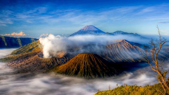 Alamat Lengkap Bank Bumi Arta Di Jawa Timur Portal Alamat