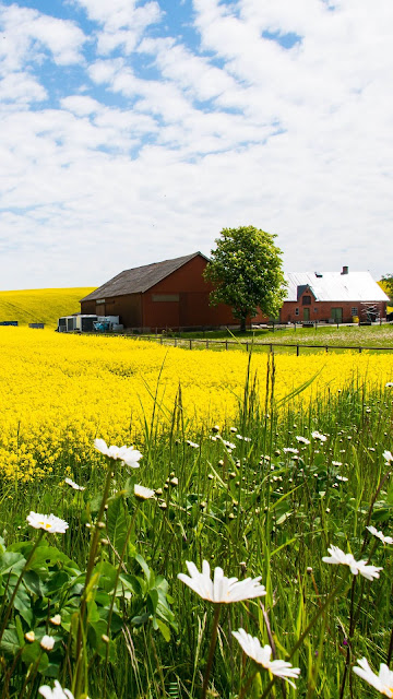 Beautiful Farmhouse Landscape Wallpaper Free HD