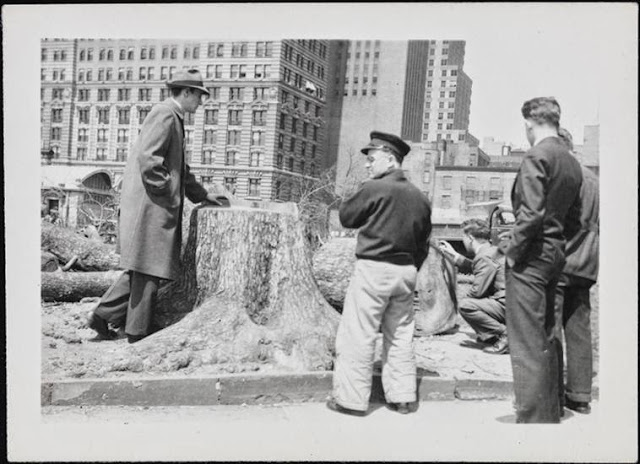 21 April 1941 worldwartwo.filminspector.com tree Battery Park NYC