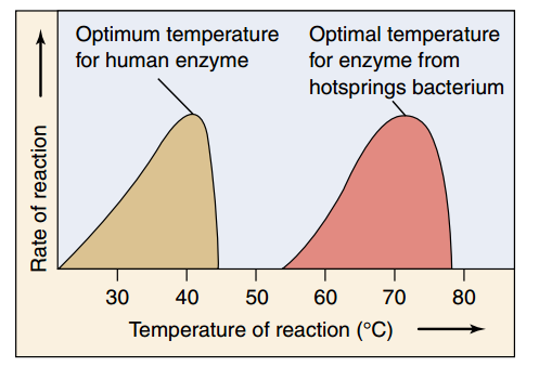 Faktor Faktor yang Mempengaruhi Kerja Enzim Referensi Biologi