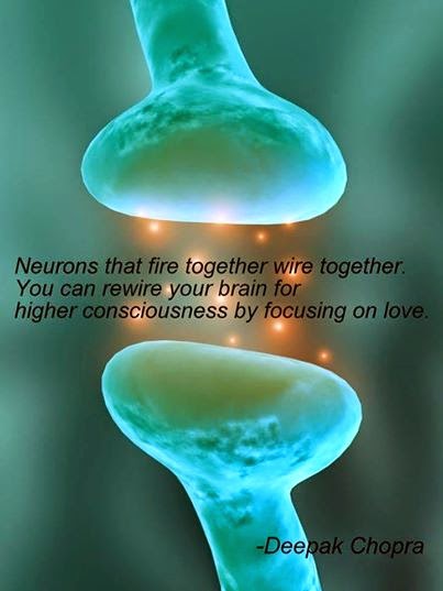 Neurons That Fire Together Wire Together Neuroscience Stainless Steel Water Bottle