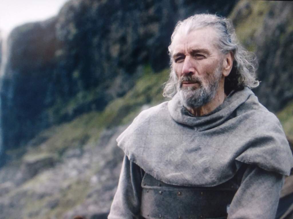 Brynden Tully "Blackfish" Game of Thrones Fox Press™