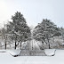 It is Snowing in Chosun University, Gwangju