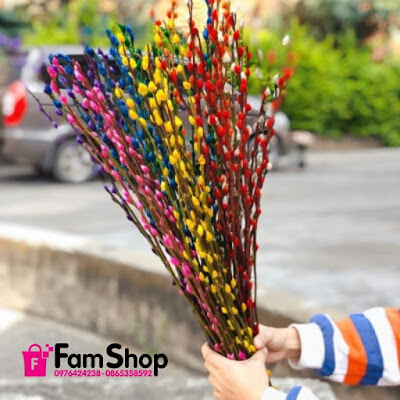 Ý nghĩa của nụ hoa tầm xuân ngày Tết Y nghia cua nu hoa tam xuan ngay Tet