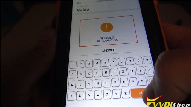 dolphin-xp005-cut-volvo-s40-hu56-akl-2