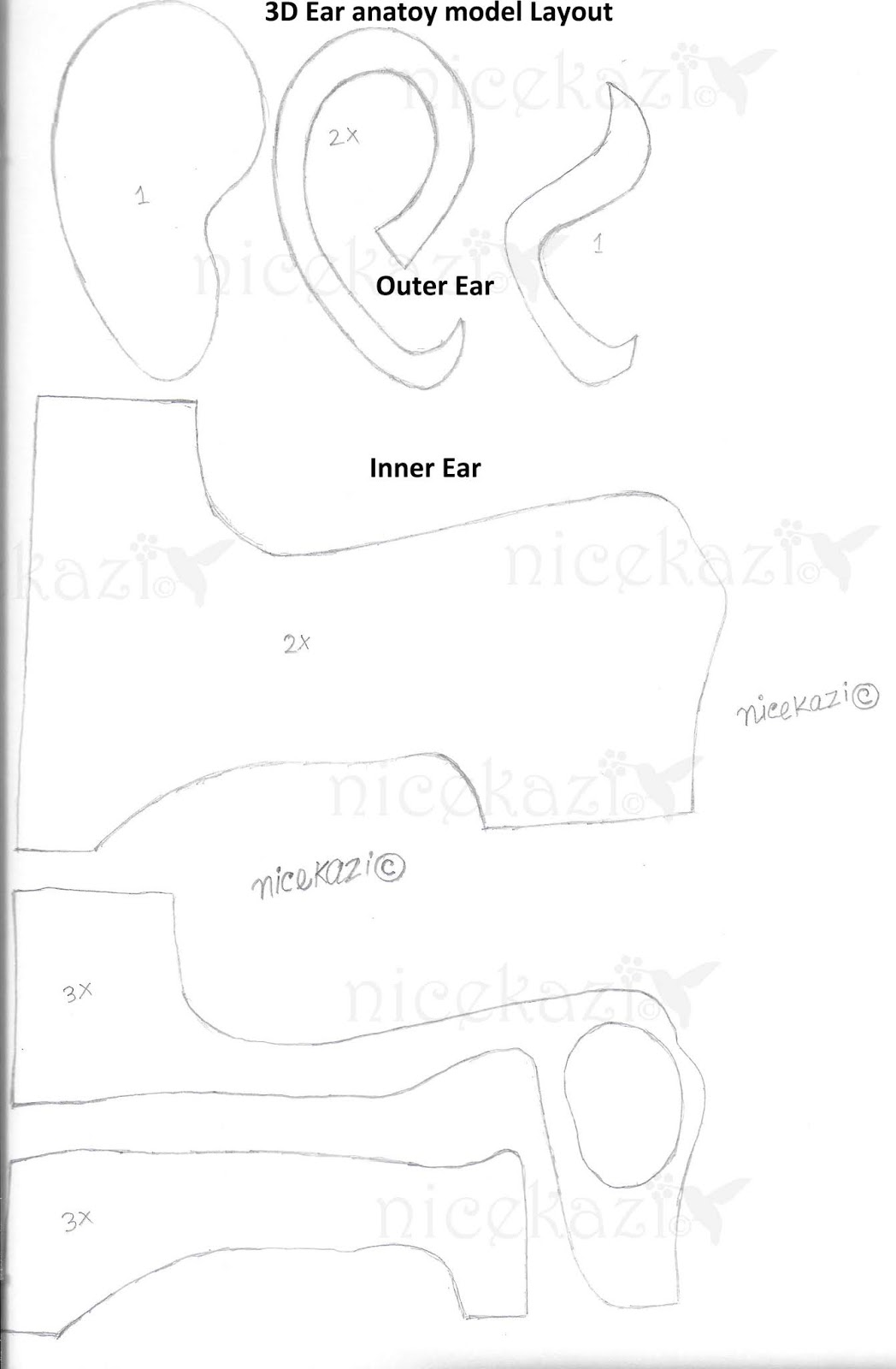 DIY Project by nicekazi Step by step how to make 3D Human Ear Model