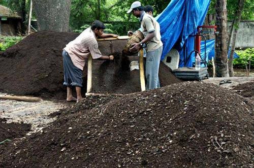 Complete information about vermicompost
