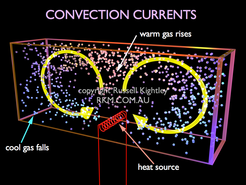 Convection Ovens How Convection Oven Works