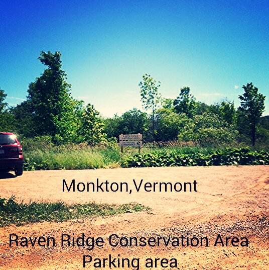 Travelogue for the Universe: Raven Ridge Conservation Area, Monkton,Vermont