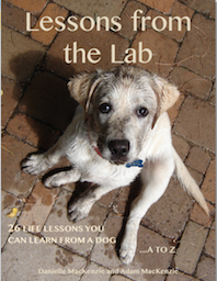 Our Dog's Book