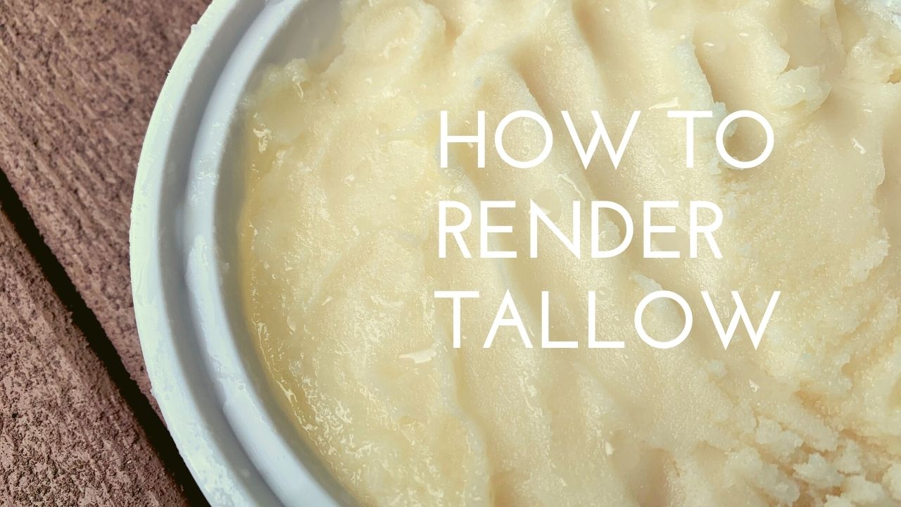 World Turn'd Upside Down How to Render Lard and Tallow for Cooking