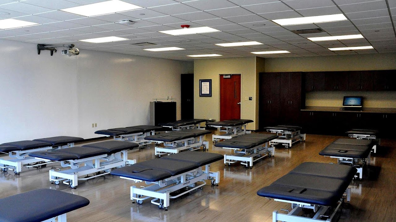 What College Has The Best Physical Therapy Program College Choices