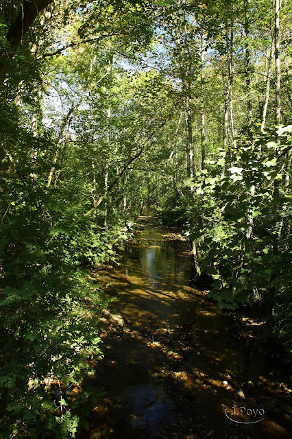 Ruta de las Foces del Río Pendón, Asturias