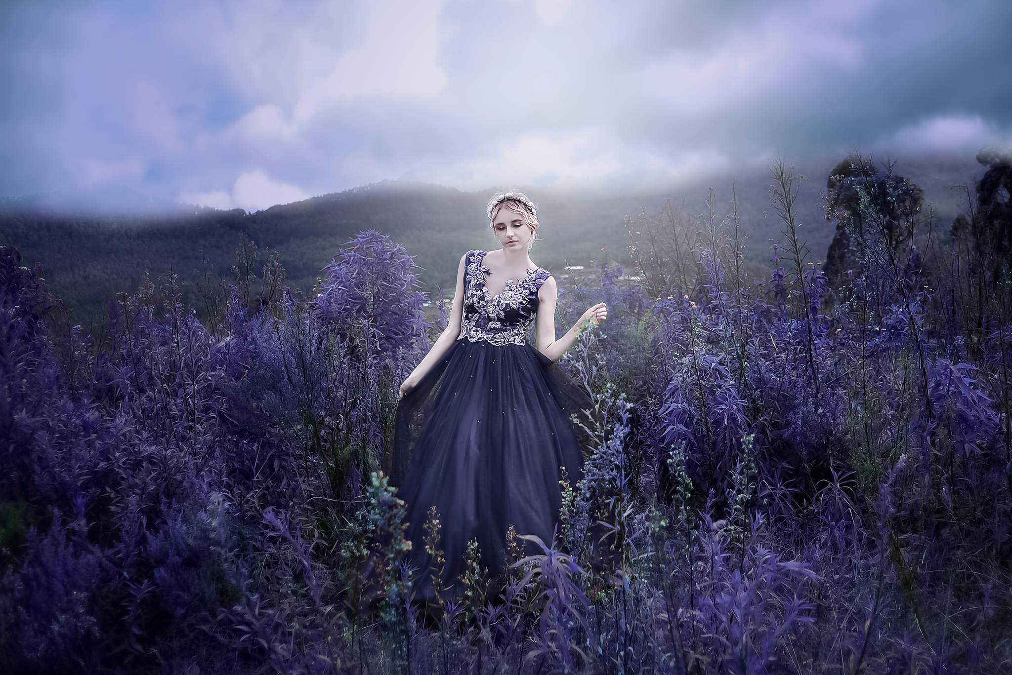 Lavender